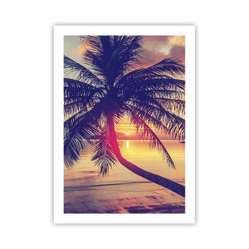 Poster - Avond onder de palmbomen - 50x70 cm