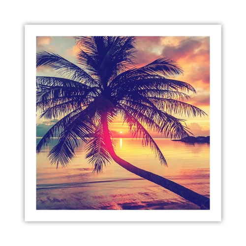 Poster - Avond onder de palmbomen - 60x60 cm