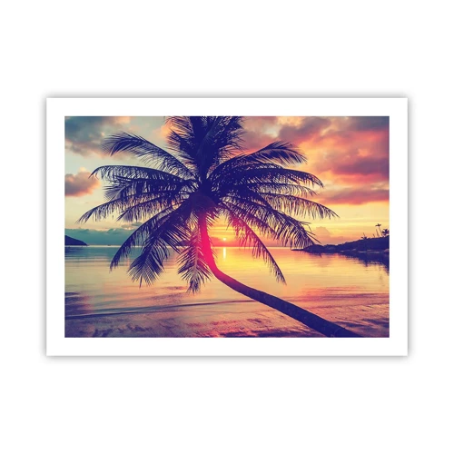 Poster - Avond onder de palmbomen - 70x50 cm