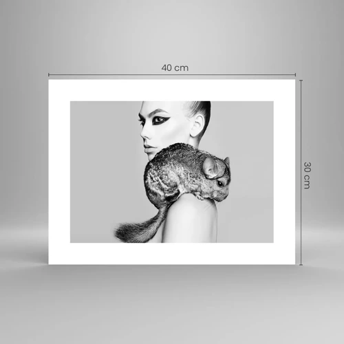 Poster - Dame met een chinchilla - 40x30 cm