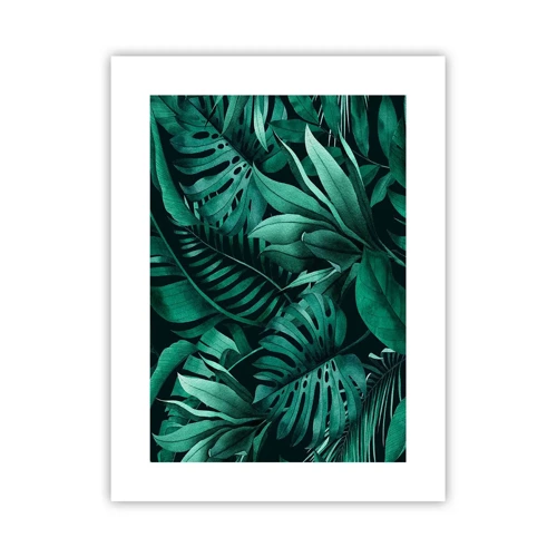 Poster - De diepte van tropisch groen - 30x40 cm