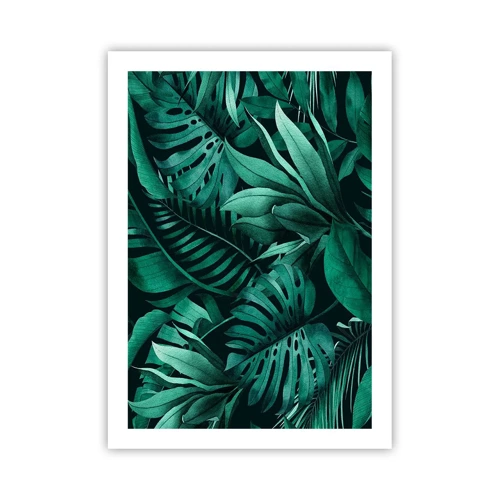 Poster - De diepte van tropisch groen - 50x70 cm