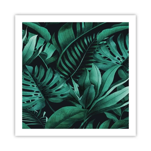Poster - De diepte van tropisch groen - 60x60 cm