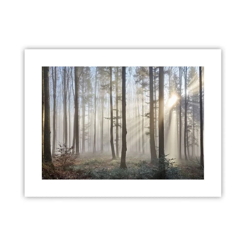 Poster - De mist werd ook wakker - 40x30 cm