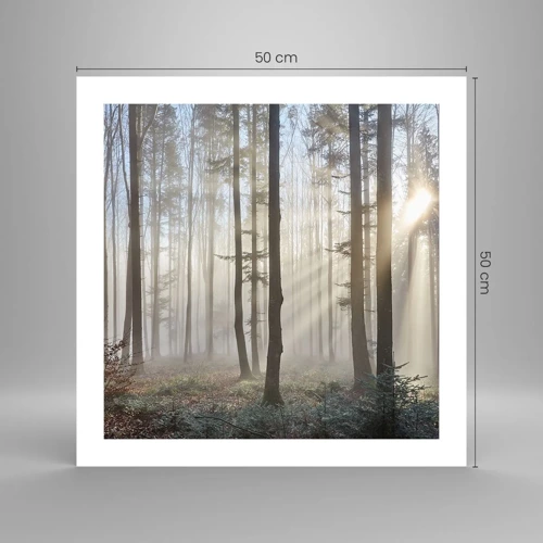 Poster - De mist werd ook wakker - 50x50 cm