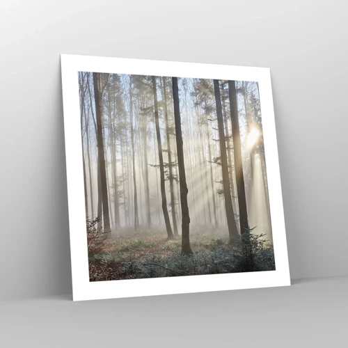 Poster - De mist werd ook wakker - 50x50 cm