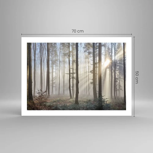 Poster - De mist werd ook wakker - 70x50 cm