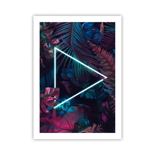 Poster - Disco-achtige tuin - 50x70 cm