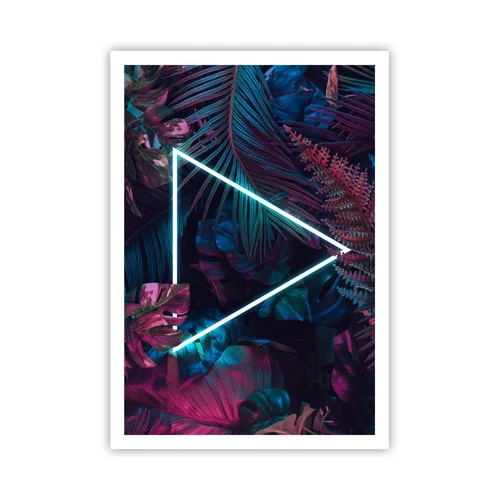 Poster - Disco-achtige tuin - 70x100 cm