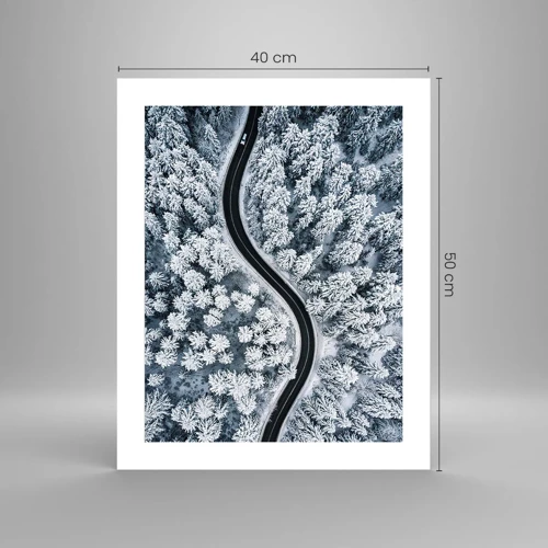 Poster - Door het winterbos - 40x50 cm
