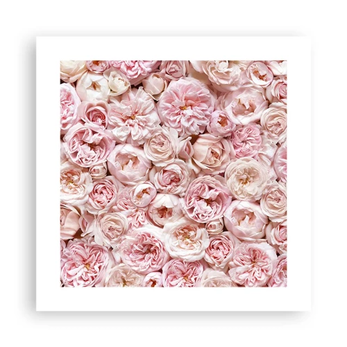 Poster - Een bed van rozen - 40x40 cm