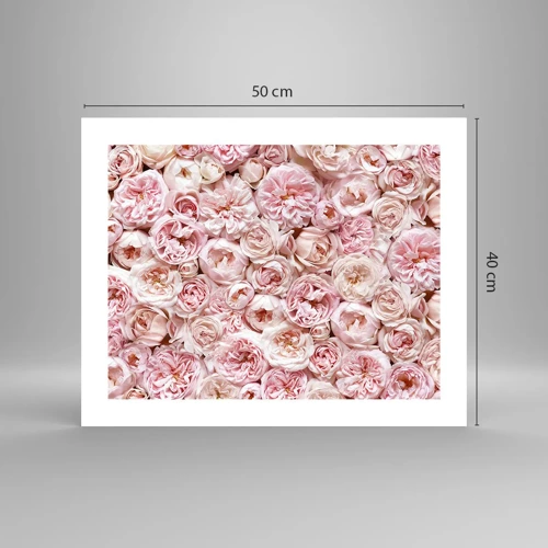 Poster - Een bed van rozen - 50x40 cm