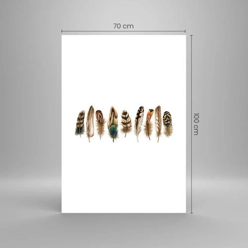 Poster - Een gevederde variatie - 70x100 cm
