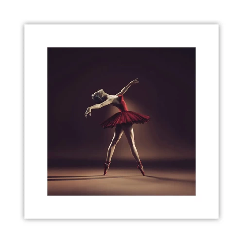 Poster - Een prima ballerina - 30x30 cm