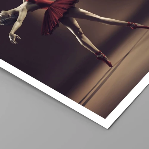 Poster - Een prima ballerina - 30x40 cm