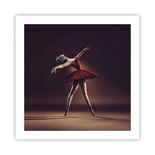 Poster - Een prima ballerina - 50x50 cm