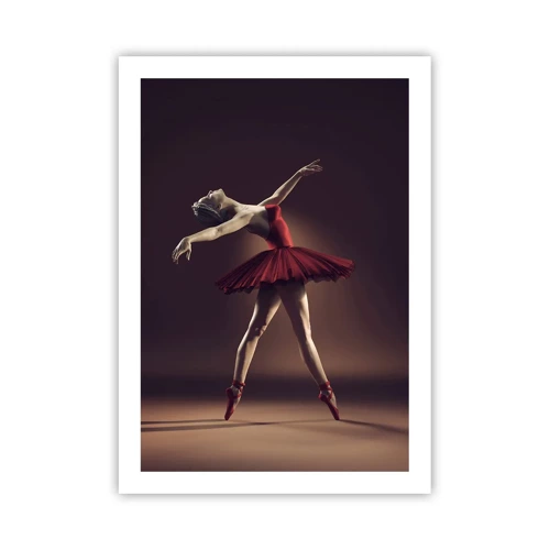 Poster - Een prima ballerina - 50x70 cm