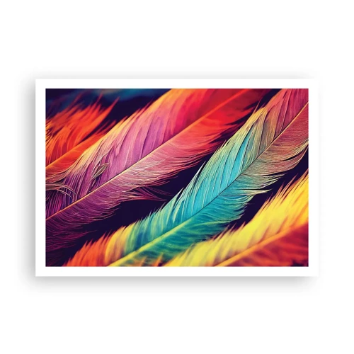 Poster - Gevederde regenboog - 100x70 cm