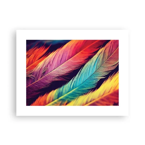 Poster - Gevederde regenboog - 40x30 cm