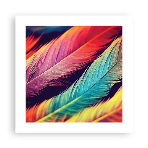 Poster - Gevederde regenboog - 40x40 cm