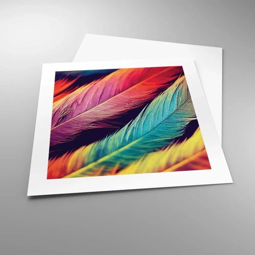 Poster - Gevederde regenboog - 40x40 cm