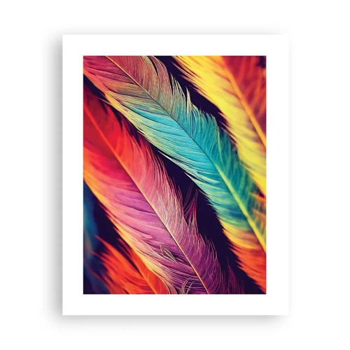 Poster - Gevederde regenboog - 40x50 cm