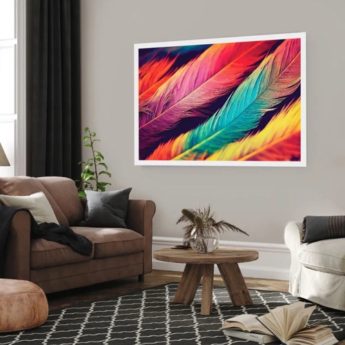 Poster - Gevederde regenboog - 50x40 cm