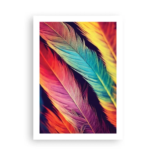 Poster - Gevederde regenboog - 50x70 cm