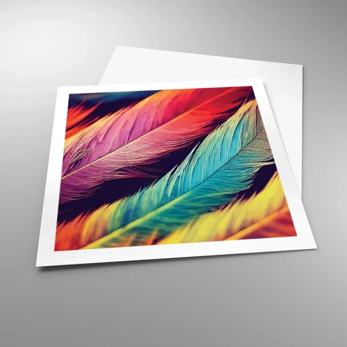 Poster - Gevederde regenboog - 60x60 cm