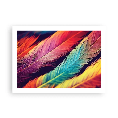 Poster - Gevederde regenboog - 70x50 cm