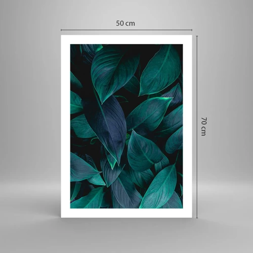 Poster - Groen op zichzelf - 50x70 cm