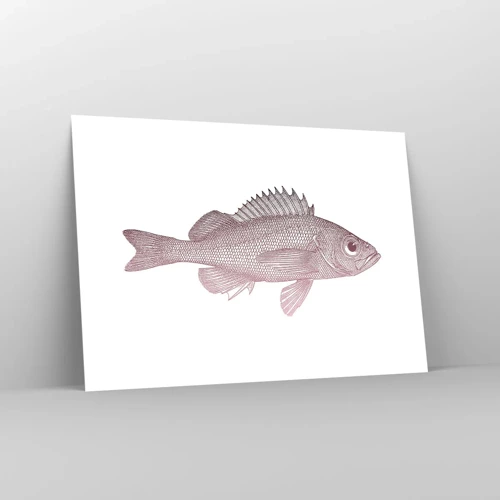 Poster - Grote ogen vis - 100x70 cm
