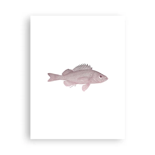 Poster - Grote ogen vis - 30x40 cm