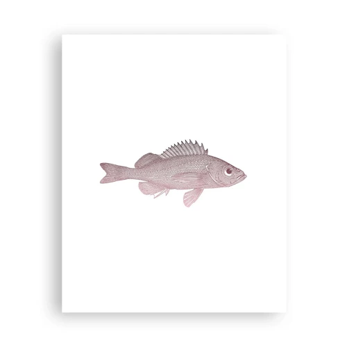 Poster - Grote ogen vis - 40x50 cm