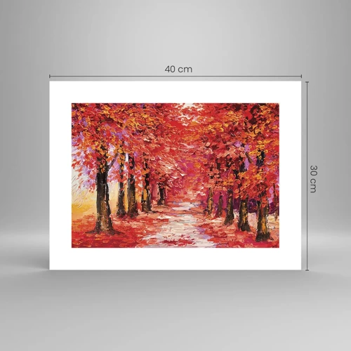 Poster - Herfst impressie - 40x30 cm