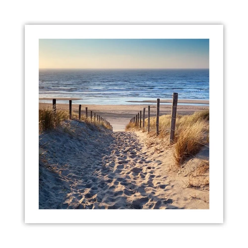 Poster - Het geluid van de zee, het zingen van vogels, een wild strand tussen het gras... - 50x50 cm