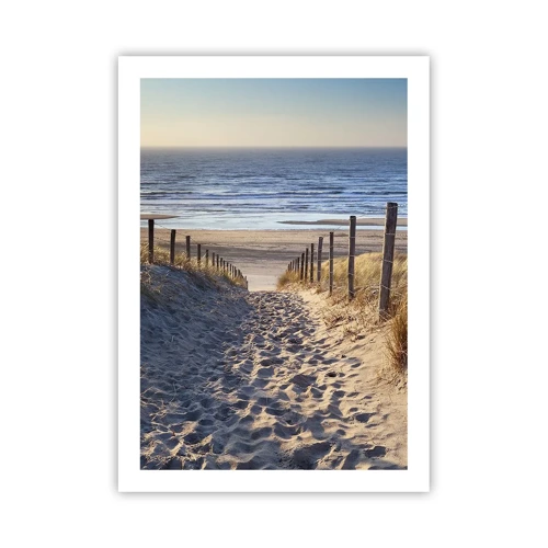 Poster - Het geluid van de zee, het zingen van vogels, een wild strand tussen het gras... - 50x70 cm