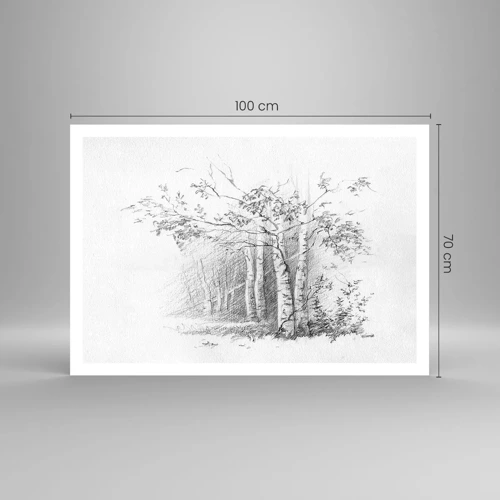 Poster - Het licht van het berkenbos - 100x70 cm