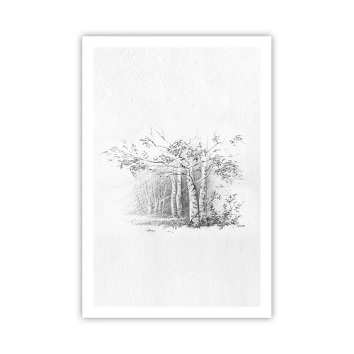 Poster - Het licht van het berkenbos - 61x91 cm
