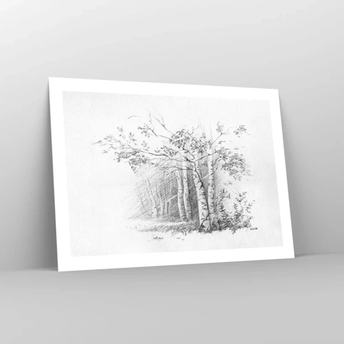 Poster - Het licht van het berkenbos - 70x50 cm