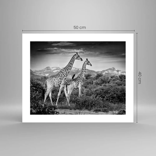 Poster - Hoge sferen in Afrika - 50x40 cm