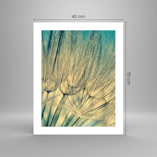 Poster - In afwachting van de wind - 40x50 cm