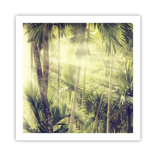 Poster - In groene hitte - 60x60 cm