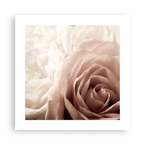 Poster - In het hart van een roos - 40x40 cm