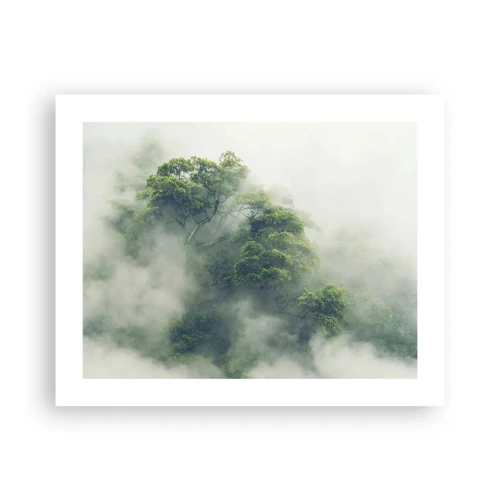 Poster - In mist gehuld - 50x40 cm