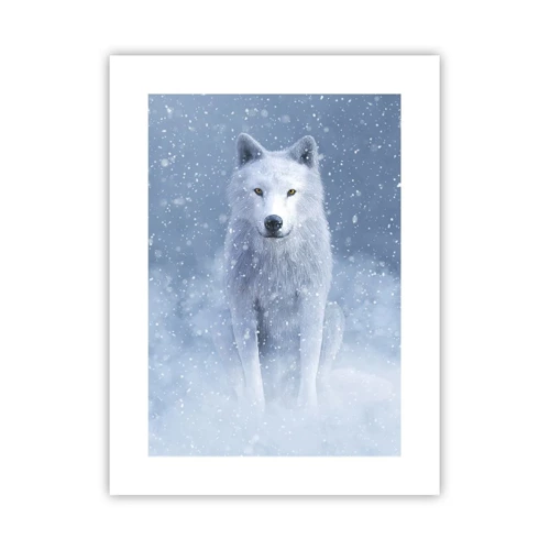 Poster - In winterse sferen - 30x40 cm