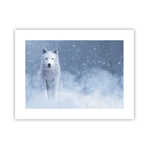 Poster - In winterse sferen - 40x30 cm