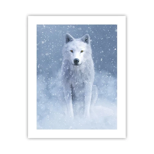 Poster - In winterse sferen - 40x50 cm