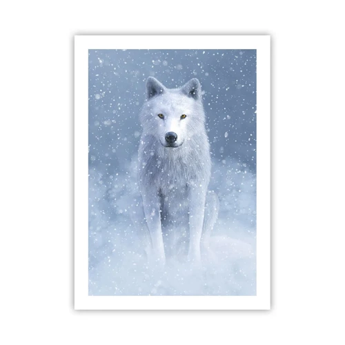 Poster - In winterse sferen - 50x70 cm