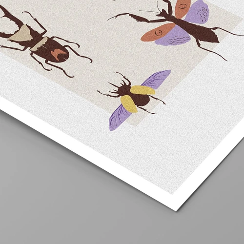 Poster - Insectenwereld - 40x50 cm
